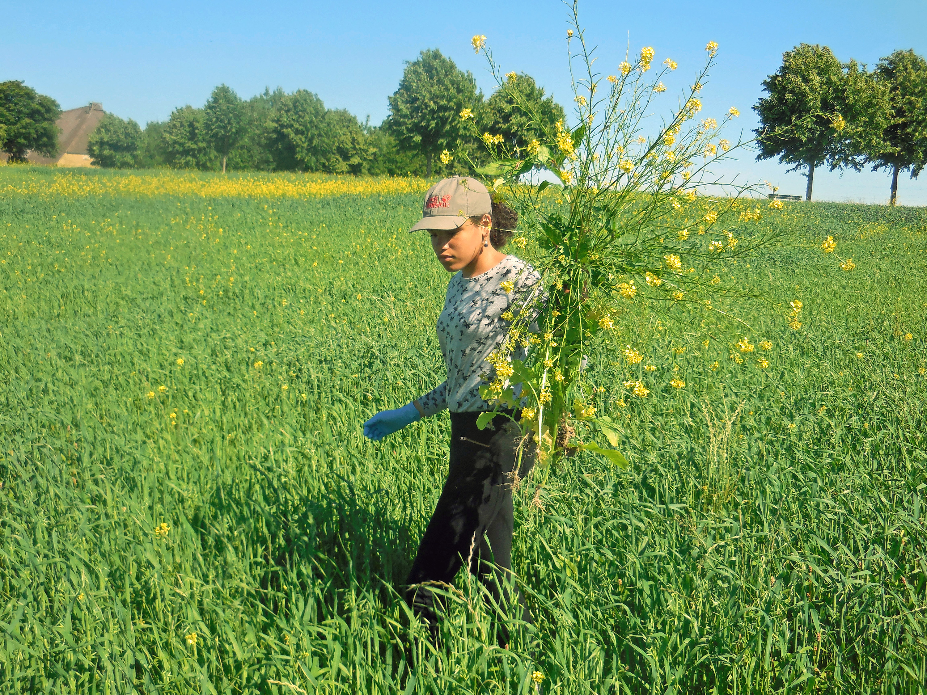 Schülerin pflückt Blumen